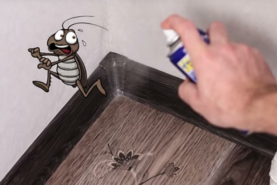 Ведешка поможет изгнать тараканов из вашей квартиры